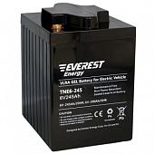 Гелевый тяговый аккумулятор Everest TNE 6-245