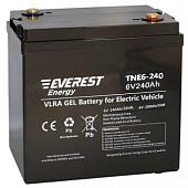Гелевый тяговый аккумулятор Everest TNE 6-240